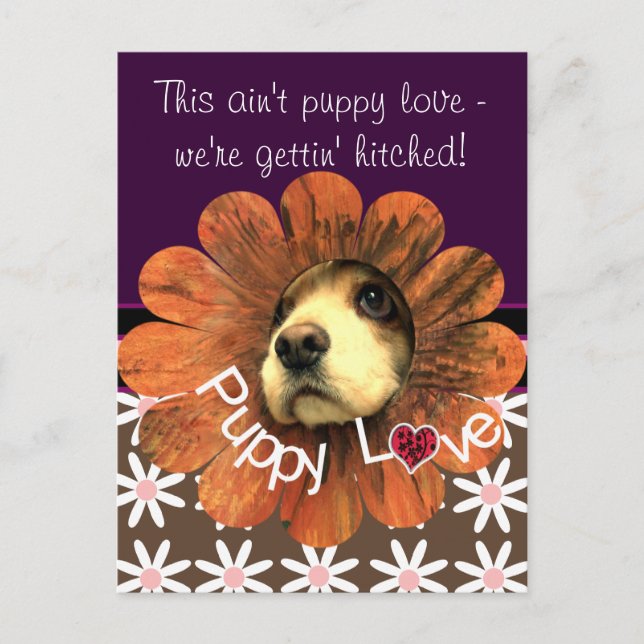 Puppy Love Peeking Out of a Flower Announcement Postcard (Front)