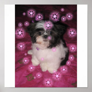 Puppy Love Poster