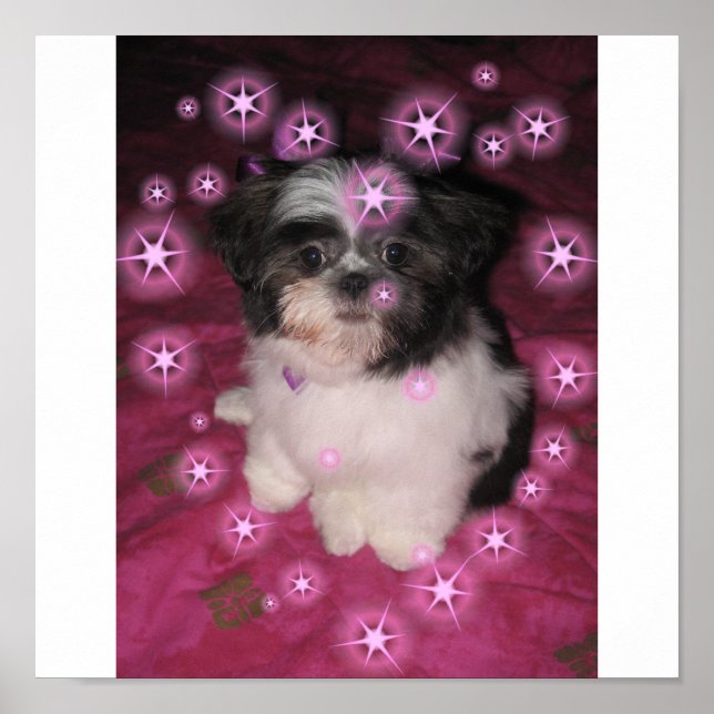 Puppy Love - Poster (Devant)