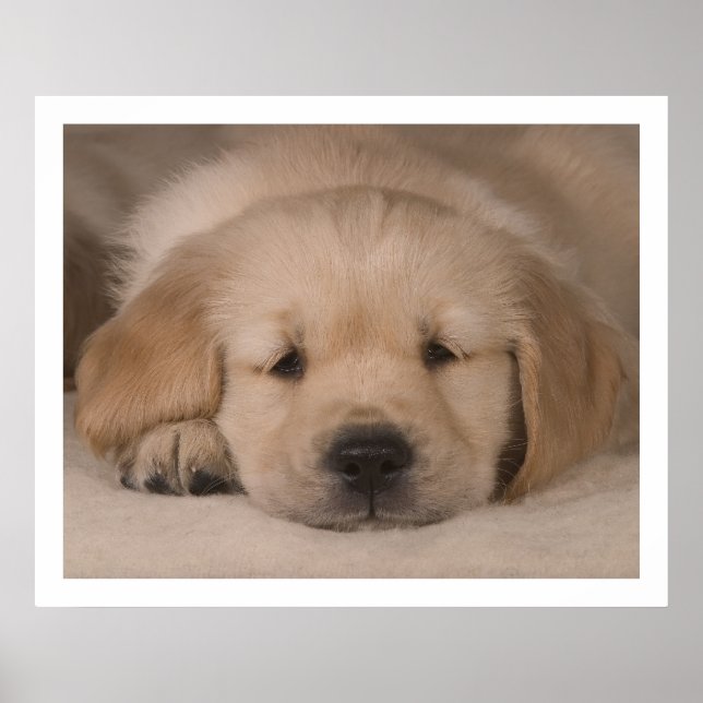 Puppy Love. Poster by cARTerART (Front)