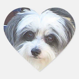 Puppy Love Sticker