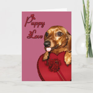 Puppy Love Valentine Holiday Card