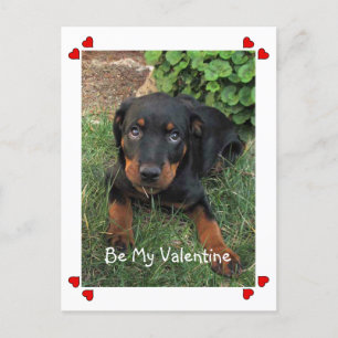 Puppy Love Valentine's Day Postcard