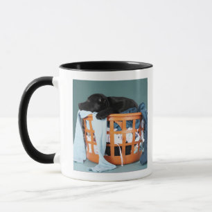 Puppy lying in laundry basket mug