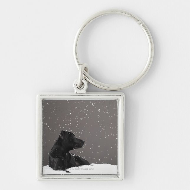 Puppy lying in snow watching snowflakes keychain (Front)