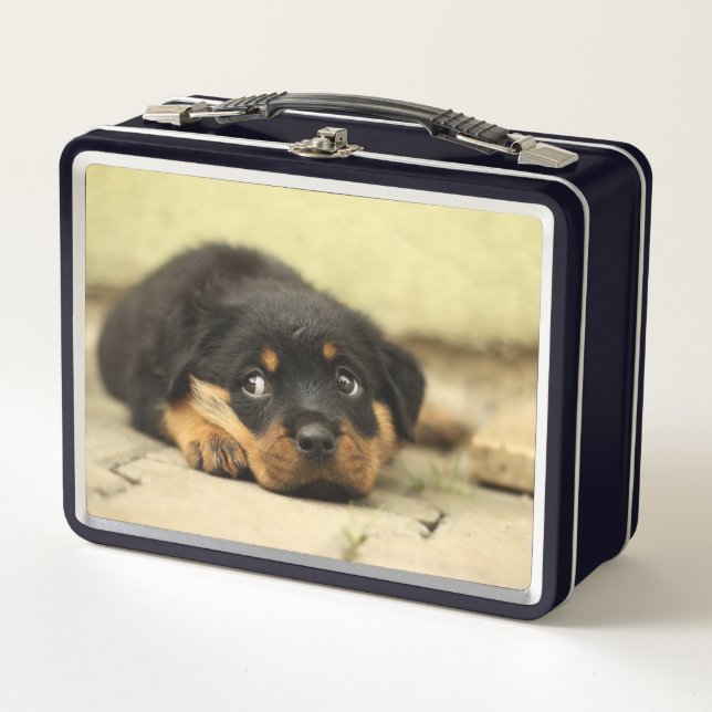 Puppy Metal Lunch Box (Front)