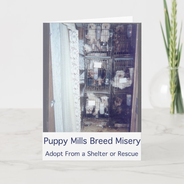 Puppy Mills Breed Misery Card (Front)