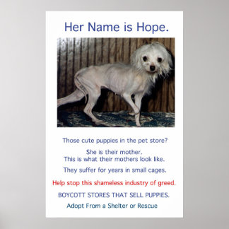 Puppy Mills Breed Misery Poster