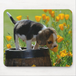 puppy mouse pad