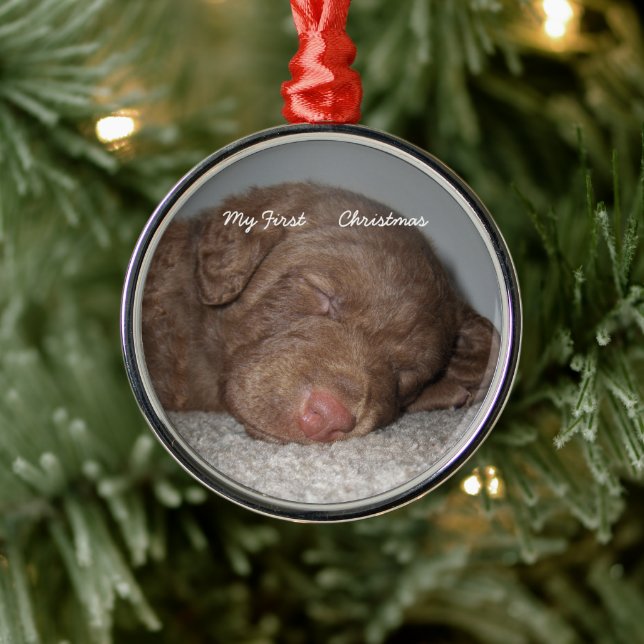 Puppy My First Christmas Photo Ornaments (Tree)