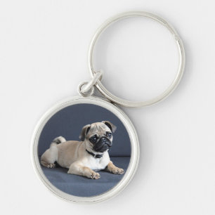 Puppy On Lounging Couch Keychain