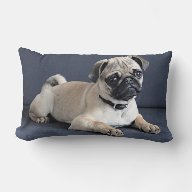 Puppy On Lounging Couch Lumbar Pillow (Front)