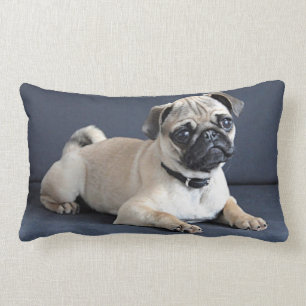 Puppy On Lounging Couch Lumbar Pillow