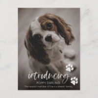 Puppy or Dog adoption card, new pet announcement