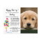 Puppy Pawty Pet Photo Dog Birthday Party