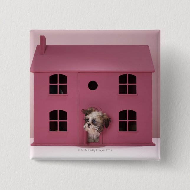 Puppy peering out of doll's house 2 inch square button (Front)