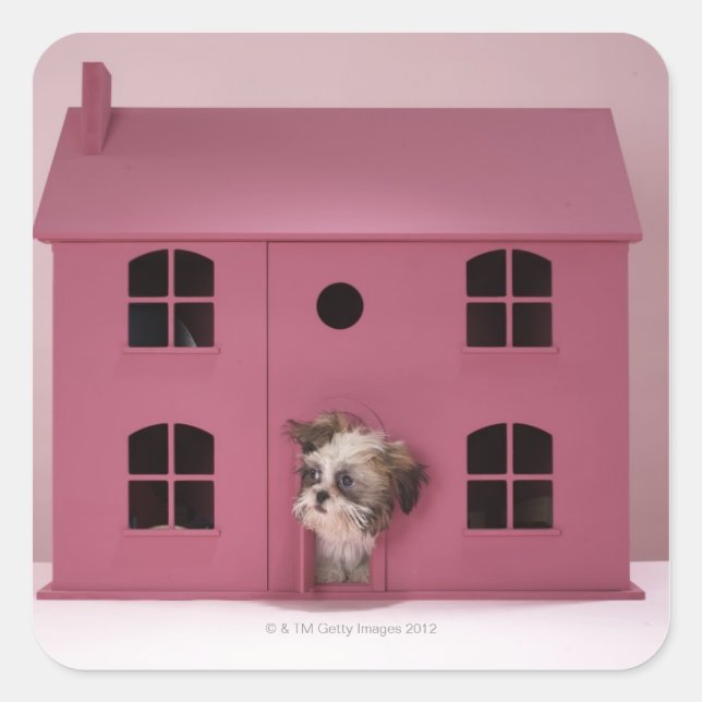 Puppy peering out of doll's house square sticker (Front)