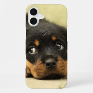 Puppy Phone Case
