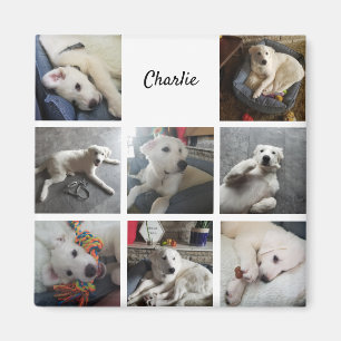 Puppy Photo Collage Cute Pet Magnet