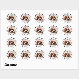 Puppy Photo Pawprints Classic Round Sticker