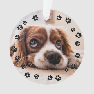 Puppy Photo Pawprints Ornament
