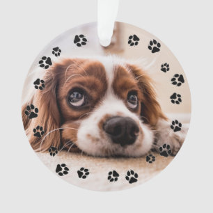 Puppy Photo Pawprints Ornement