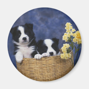 Puppy Picture Magnet