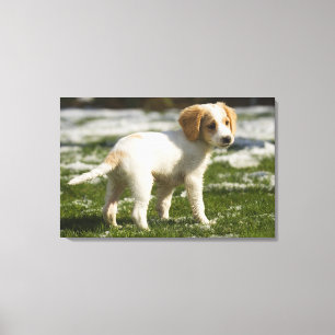 Puppy playing in the snow canvas print