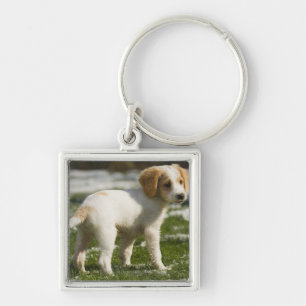 Puppy playing in the snow keychain