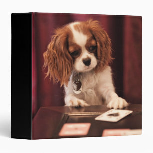 Puppy Plays Cards Binder