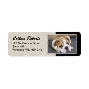 Puppy Portrait - Style 2