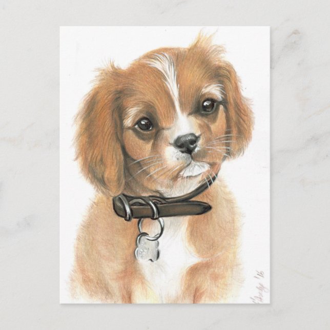 Puppy Postcard (Front)