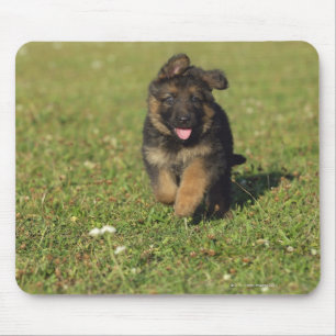 Puppy Running Mouse Pad