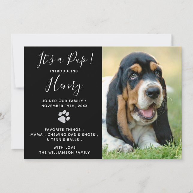 Puppy Shower Party - Elegant Modern Black New Pet Invitation (Front)