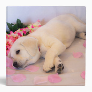 Puppy Sleep Flower 01 Binder