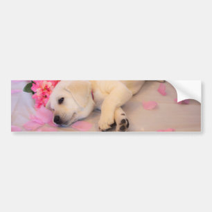Puppy Sleep Flower 01 Bumper Sticker