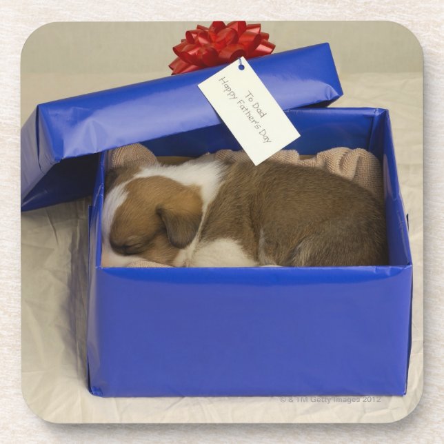 Puppy sleeping in a gift box coaster (Front)