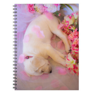 Puppy Sleepy Veil 01 Notebook
