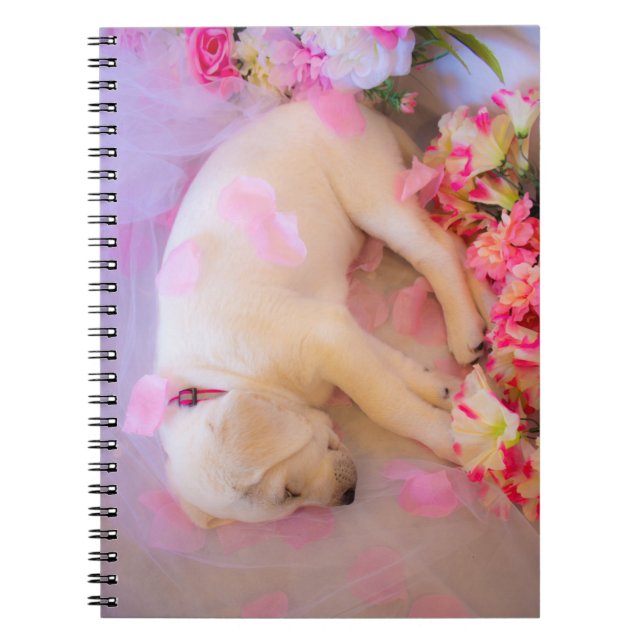 Puppy Sleepy Veil 01 Notebook (Front)