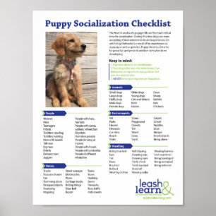 Puppy Socialization Checklist Poster
