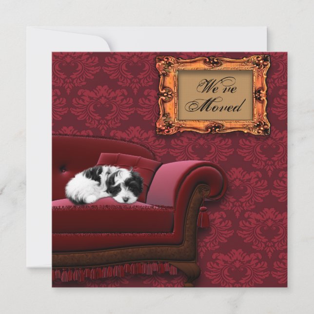 Puppy Sofa Change of Address Postcards (Front)