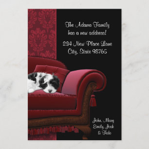 Puppy Sofa Change of Address Postcards