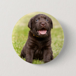 Puppy soft dog 2 inch round button