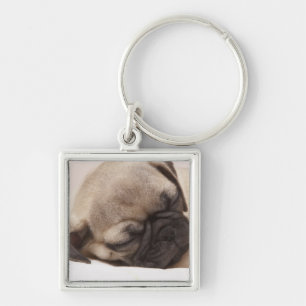 Puppy Soundly Sleeping Keychain