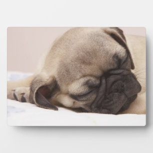 Puppy Soundly Sleeping Plaque