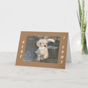 PUPPY SPANIEL CAN'T WAIT TO SAY *HAPPY BIRTHDAY* CARD