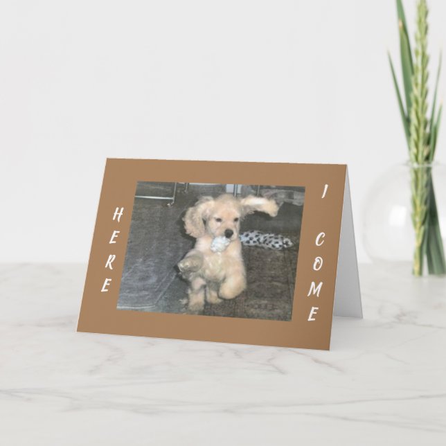 PUPPY SPANIEL CAN'T WAIT TO SAY *HAPPY BIRTHDAY* CARD (Front)
