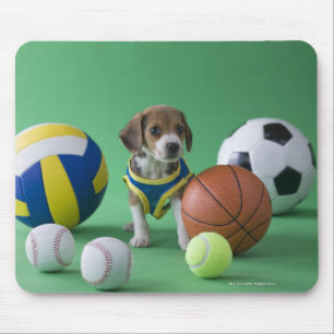 Puppy surrounded by sport balls mouse pad
