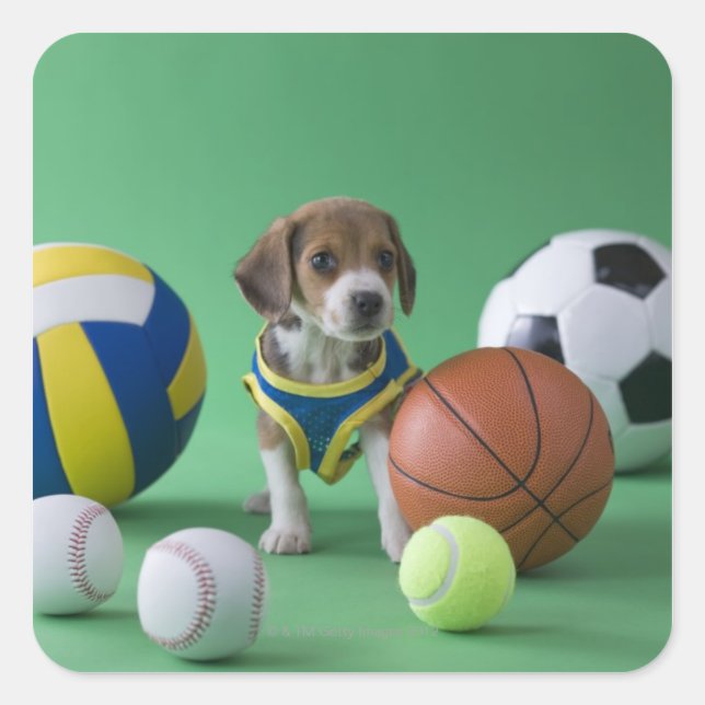 Puppy surrounded by sport balls square sticker (Front)