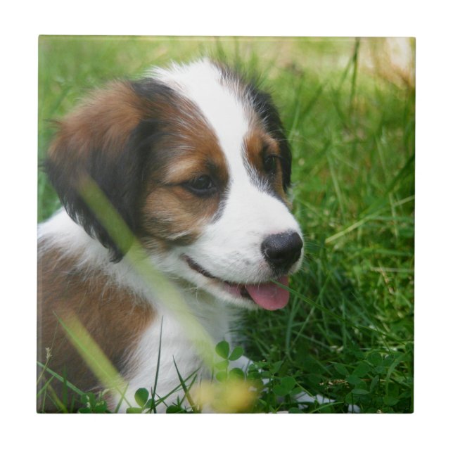 Puppy Tile (Front)
